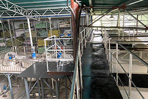 立杉生產車間一角.jpg 立杉生產車間一角.jpg